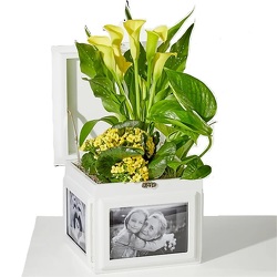 Blooming Keepsake Photo Box<br><b>Free Next Day Delivery from Flowers All Over.com 