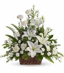 Basket of Tranquility<br><b>FREE DELIVERY from Flowers All Over.com 