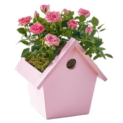 Pink Mini Rose in Decorative Birdhouse<b> from Flowers All Over.com 