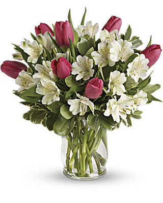 Spring Greetings<br><b>FREE DELIVERY from Flowers All Over.com 