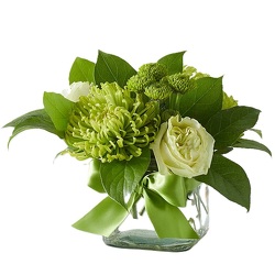 Emerald City<br><b>FREE DELIVERY from Flowers All Over.com 