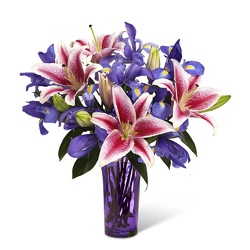 Shooting Star<br><b>FREE NEXT DAY DELIVERY from Flowers All Over.com 