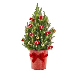 Holiday Magic Tree<br>w/Lights<BR><B>FREE 2 DAY DELIVERY  from Flowers All Over.com 