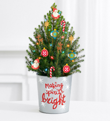 Holiday Magic Tree<br>w/Lights<BR><B>FREE 2 DAY DELIVERY  from Flowers All Over.com 