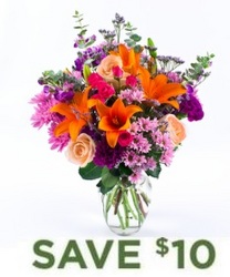 Bright & Beautiful<BR><B>FREE NEXT DAY DELIVERY from Flowers All Over.com 