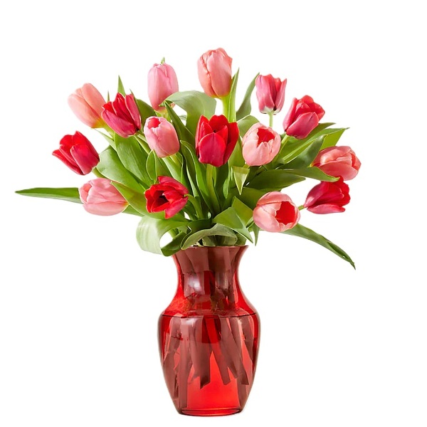 <b>Valentines Tulips<br>Free Next Day Delivery & Free Vase from Flowers All Over.com 