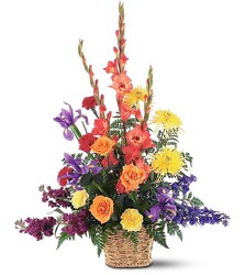 Vibrant Rainbow<br><b>FREE DELIVERY from Flowers All Over.com 