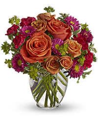 Warm Embrace<br><b>FREE DELIVERY from Flowers All Over.com 