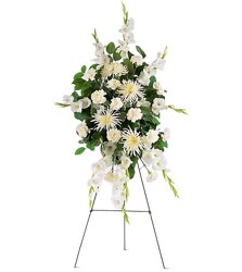 Purity<br><b>FREE DELIVERY from Flowers All Over.com 