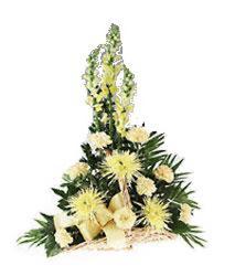 Yellow Fireside Basket<br><b>FREE DELIVERY from Flowers All Over.com