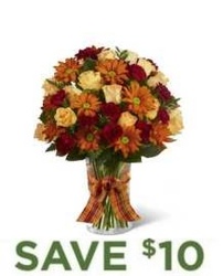 Warmth of Autumn<br><b>Same Day Delivery from Flowers All Over.com