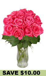 One Dozen Long Stem Pink Roses  from Flowers All Over.com 