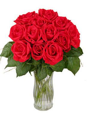 12 Red<b> Long Stem</b> Roses  from Flowers All Over.com 