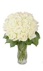 Two Dozen White Long Stem Roses from Flowers All Over.com 