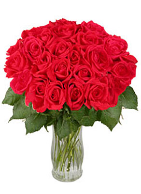 24 Long Stem Red Roses   from Flowers All Over.com 