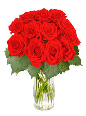 12 Short Stem Red Roses  from Flowers All Over.com 