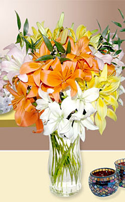 MIXED LILIES from Flowers All Over.com 