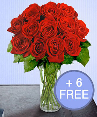 18 <b>Long Stem</b> Red Roses <b>SAVE $15</b> from Flowers All Over.com 
