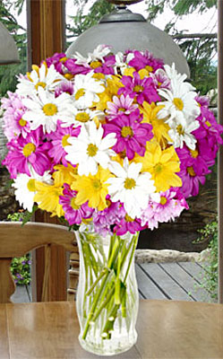 Spring Chrysanthemums from Flowers All Over.com 