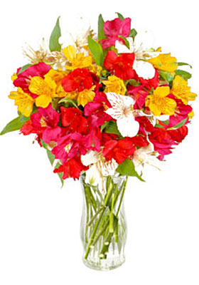 Alstroemeria Arrangement from Flowers All Over.com 