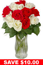 12 Red & White Long Stem Roses  from Flowers All Over.com 