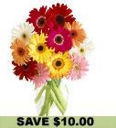 Dozen Mixed Gerbera Daisies  from Flowers All Over.com 