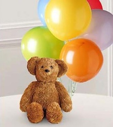 High Flying Teddy<b> from Flowers All Over.com 
