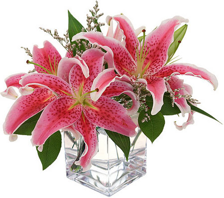 Pink Lily Bouquet<b> from Flowers All Over.com 