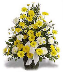 Loving Thoughts<br> Sympathy Basket<br><b>FREE DELIVERY from Flowers All Over.com 