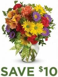 Make a Wish<br><b>Same Day Delivery from Flowers All Over.com