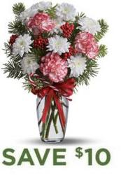 Peppermint Wishes<b> from Flowers All Over.com