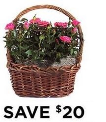 Rose Garden Basket<b> from Flowers All Over.com 