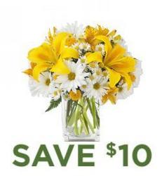 Rain or Shine Bouquet<BR> with<B> Free Vase from Flowers All Over.com