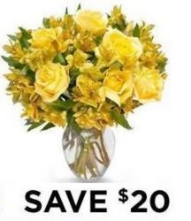 Sunburst Rose Special<b> from Flowers All Over.com