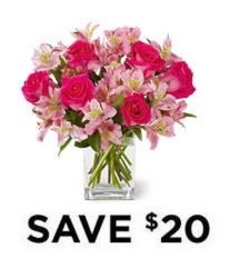 Dreamland Pink<br> 6 Rose Bouquet<b> from Flowers All Over.com
