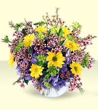 FTD Fresh as a Daisy Bouquet from Flowers All Over.com 