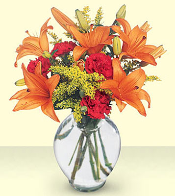 FTD Tigress Bouquet from Flowers All Over.com 