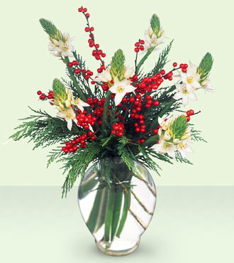 FTD Winterfresh Bouquet from Flowers All Over.com 