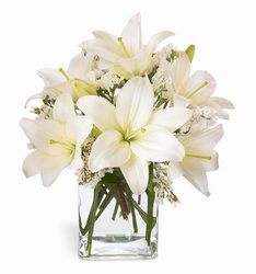 Lush Lily Bouquet<b> from Flowers All Over.com 