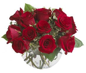Contemporary Rose Bouquet<B> from Flowers All Over.com 