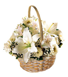 Sympathy Basket<br><b>FREE DELIVERY from Flowers All Over.com 