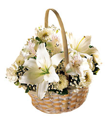Sympathy Basket<br><b>FREE DELIVERY from Flowers All Over.com