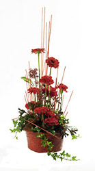 Finland- Christmas Arrangement from Flowers All Over.com 