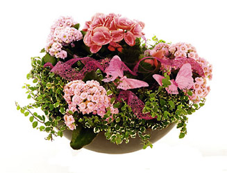 Finland- Arrangment of Plants from Flowers All Over.com 