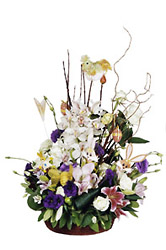 Lebanon- Seasonal Arrangement from Flowers All Over.com 