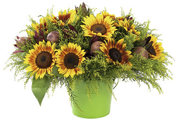Israel- Summer Bouquet from Flowers All Over.com 