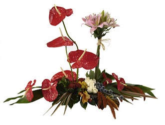Israel- Tropical Arrangement from Flowers All Over.com 
