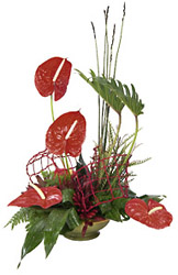 Israel- Love Arrangement from Flowers All Over.com 