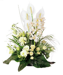 Italy- Arrangement of Cut Flowers from Flowers All Over.com 