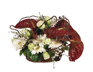 Italy- Christmas Arrangement from Flowers All Over.com 